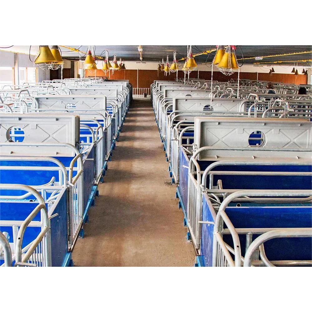 Huge pig farm open style farrowing pen pig farm project