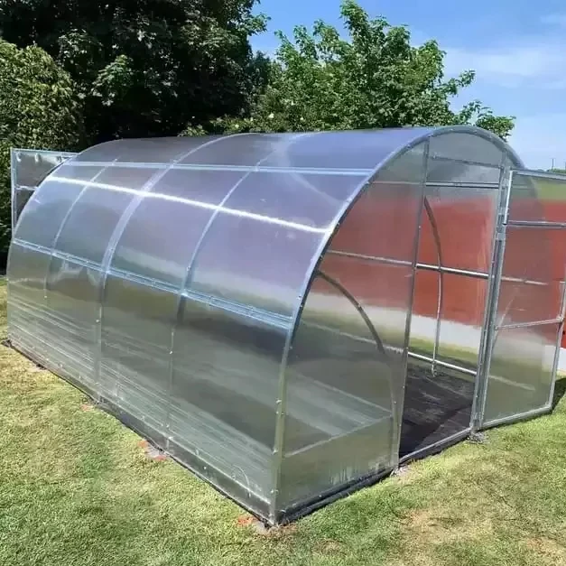 Economic Tunnel Plastic Greenhouse for Vegetable Greenhouse Tube GI pipe