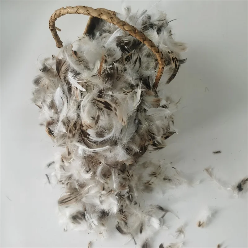 Wholesale Washed High Filling Natural Raw Goose/Duck Pure Feather Fiber Down for Pillow Duvet Use