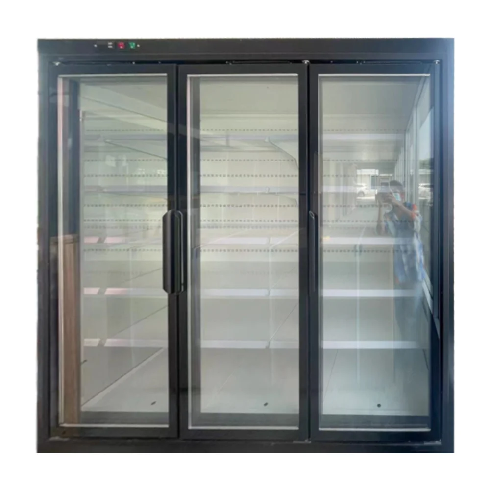 Commercial Refrigeration Equipment display Showcase glass doors and frame for supermarket liquor store