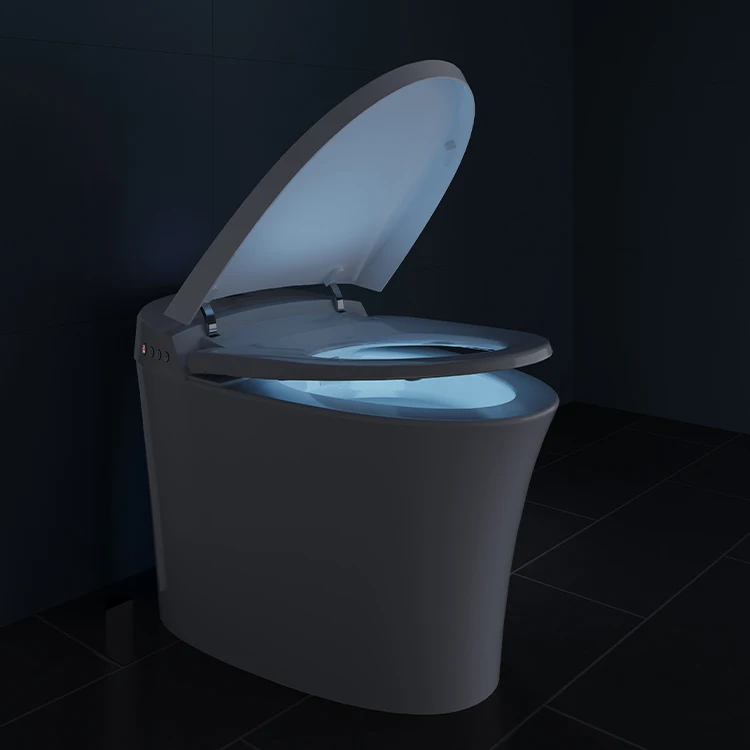 110V/220V bathroom commode ceramic one piece electronic electric siphon wc intelligent smart toilet