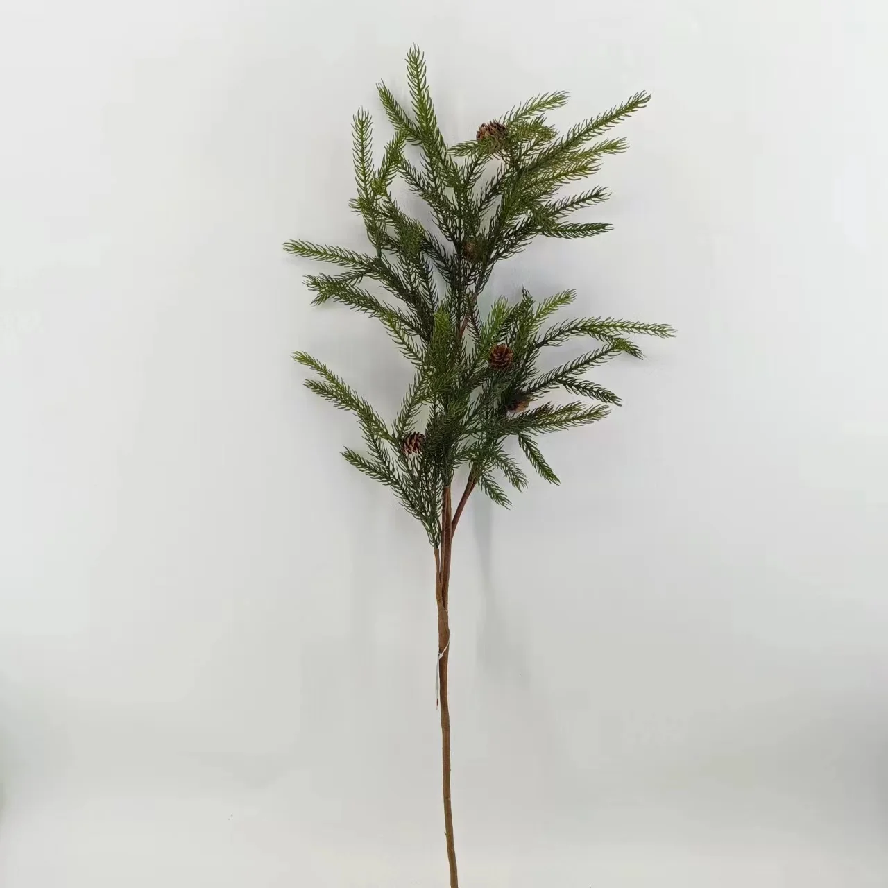 Factories wholesale Norfolk pine  stems