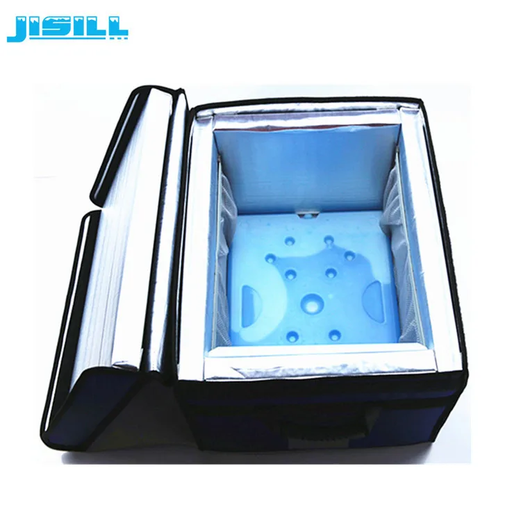 4L Thermal Insulated Insulin Vial Cooler Chiller Box With PCM Ice Bricks