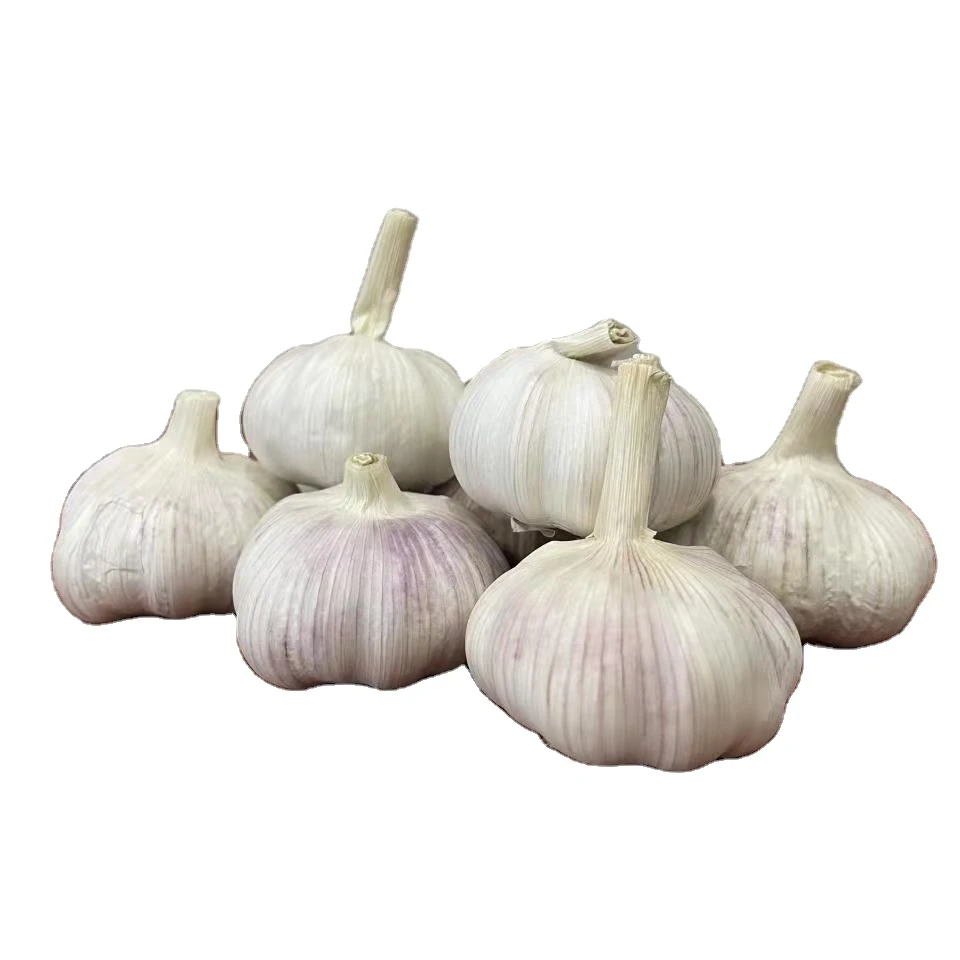 Свежий Чистый Белый Чеснок