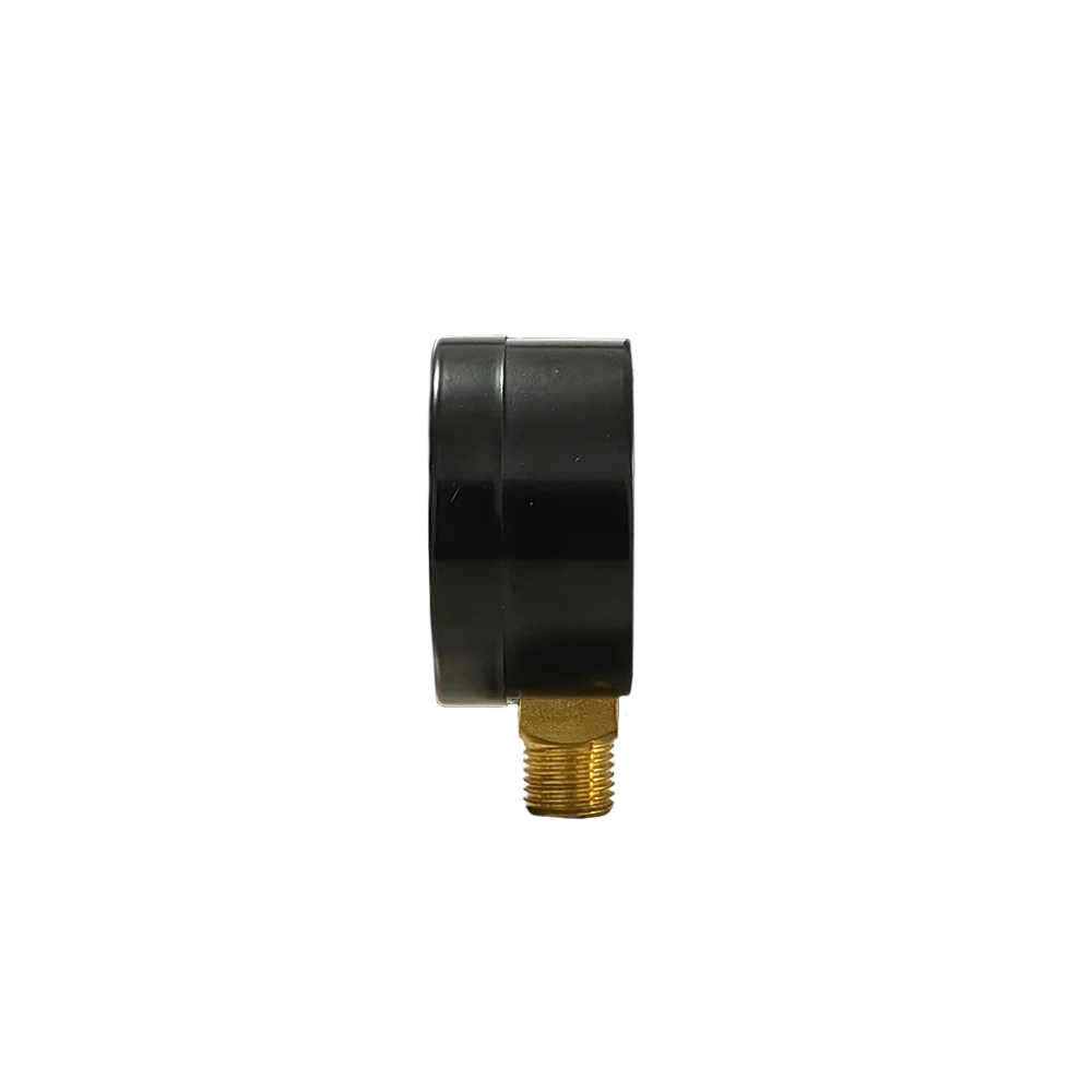 RUIQI Low Price Pressure Gage high quality Radial Direction Piezometer Pumps and Parts  Pump Accessories Pressure Switch