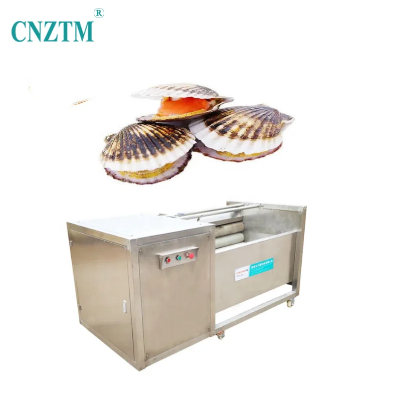 Commercial Industrial Low Price Root Vegetable Washer Seafood Shellfish Roller Brush Washer Scallop Washing Machine