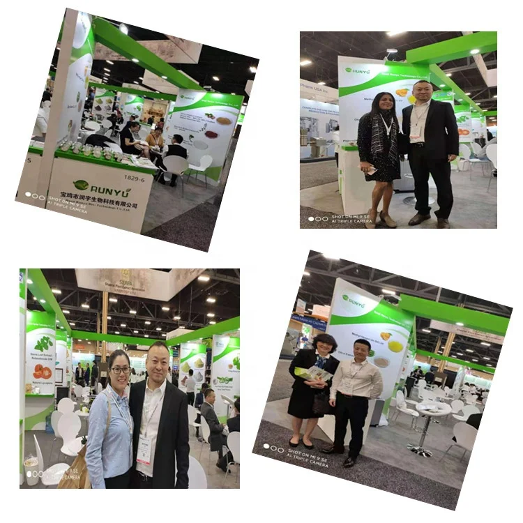 12 factory supply grapefruit seed extract naringin/naringin dihydrochalcone feed attracto/naringin p.e.