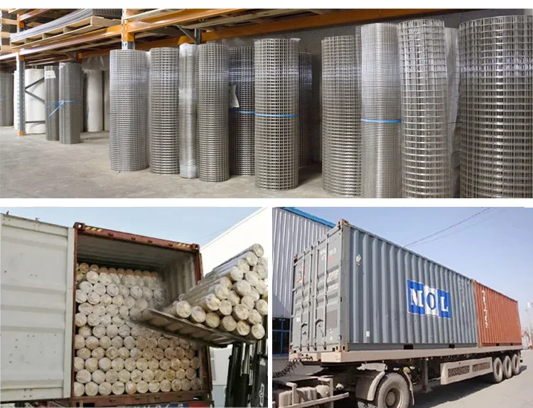 Welded Mesh Fencing Rolls.jpg