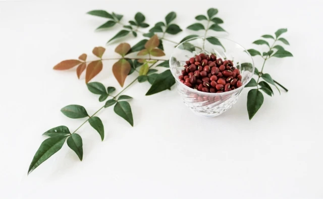 Rich in fiber cholesterol free vegetable protein other bean products