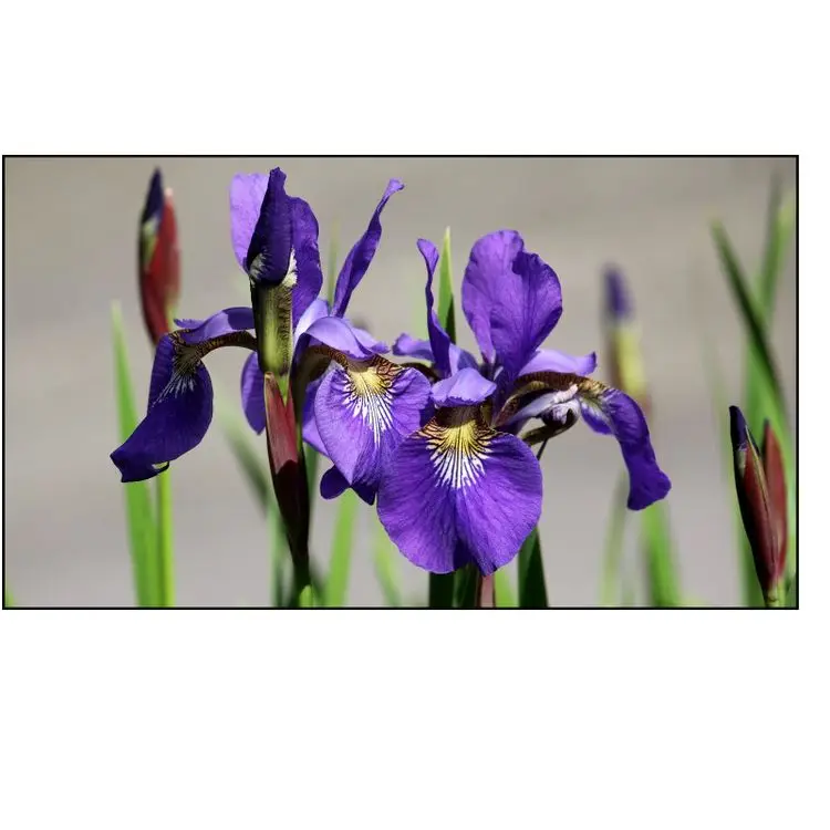 New Products 4k Controller Indoor Videowall Digital Displays For Monitoring Command Center