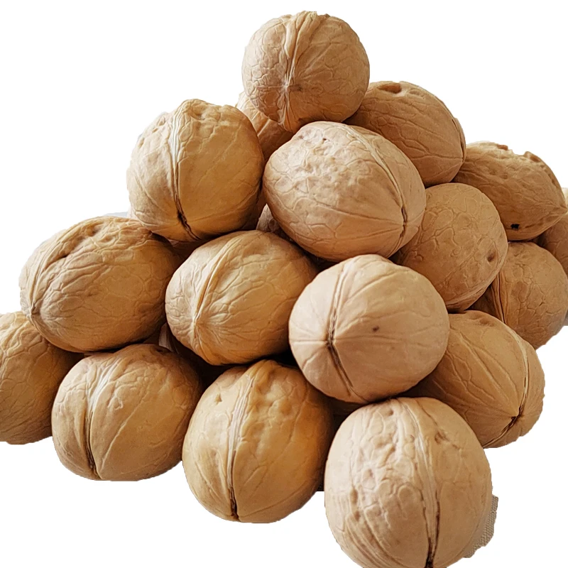 China Manufacture Washed 33 Walnuts Papper-Thin Shell 33 Walnuts For Sale
