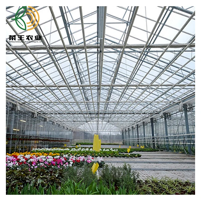  Agricultural Hydroponic Greenhouse Turnkey Project With Strong Frame