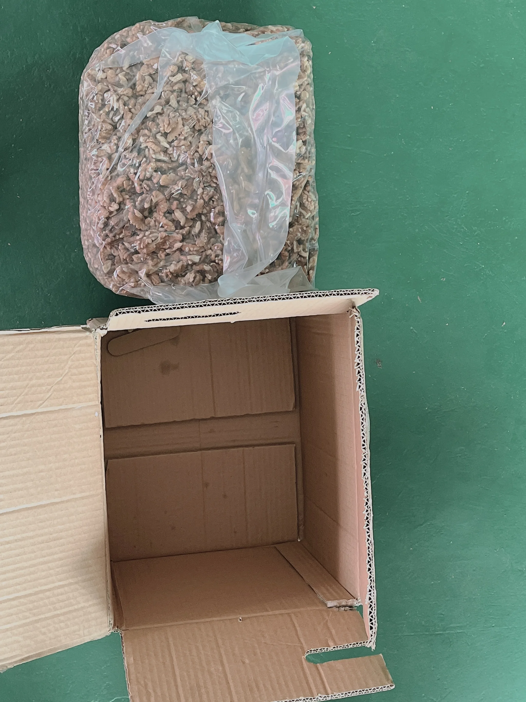 Thin Shell Fresh Delicious Nutrition Chinese Walnut Kernel