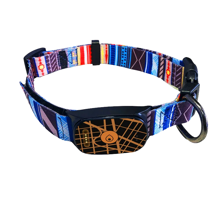 EVIEW Wholesale Pet Collar GEO Fence 4G NBIOT GPS Tracker Dogs