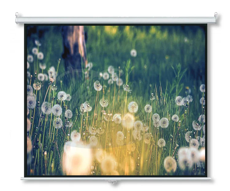 60 дюймов-150 дюймов ручной настенный проекционный экран является 2019 самым популярным по индивидуальному заказу