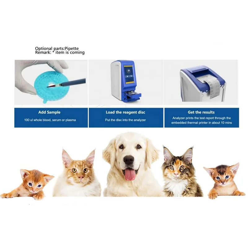 New Type Biochemistry Analyzer Clinical Auto Chemistry Analyz