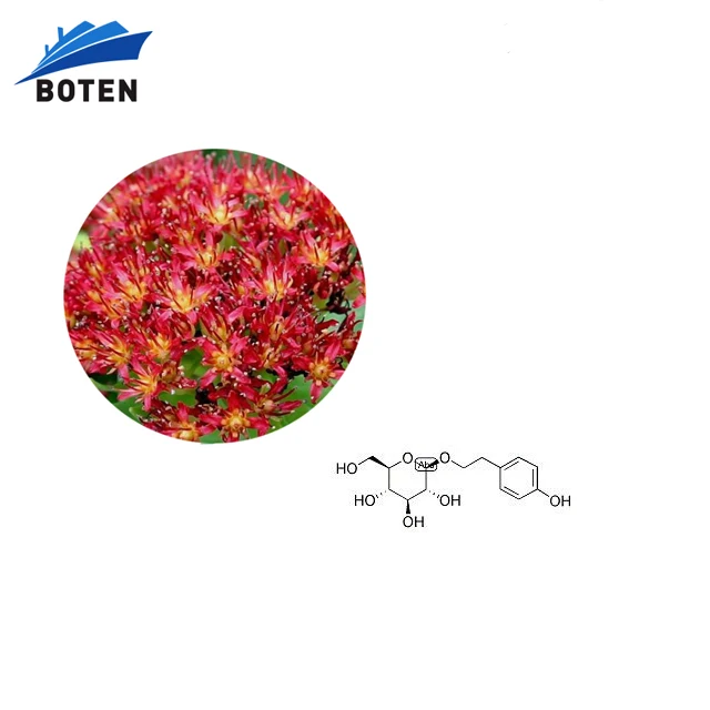 Wholesale Rosavins 3% Rhodiola Rosea Extract Powder Salidroside