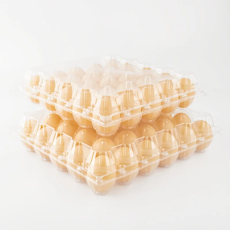 plastic egg trays for 30 eggs clear transparent 6 cells holes plastic quail egg packaging tray box crate