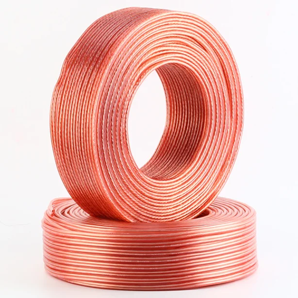 2-Core Outdoor Audio Speaker Cable for Home Theater Copper-Clad Aluminum Power Cord for KTV Stage Home Decorations