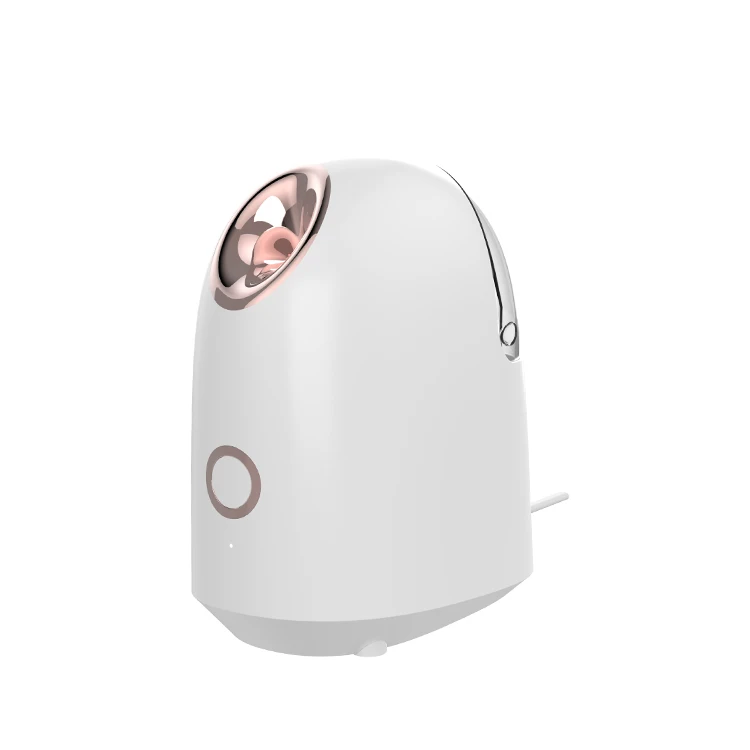 Новинка 2022 персональный мини-отпариватель для лица домашнего