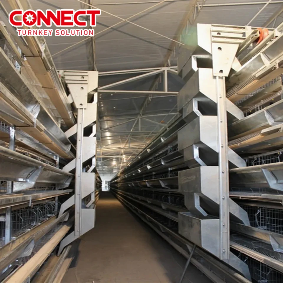 Layer Farm 7 Tier 8 Tier H Type Poultry Farm Cage Design Egg Layer Hens Cages Chicken Laying Cage For Completely Automatic
