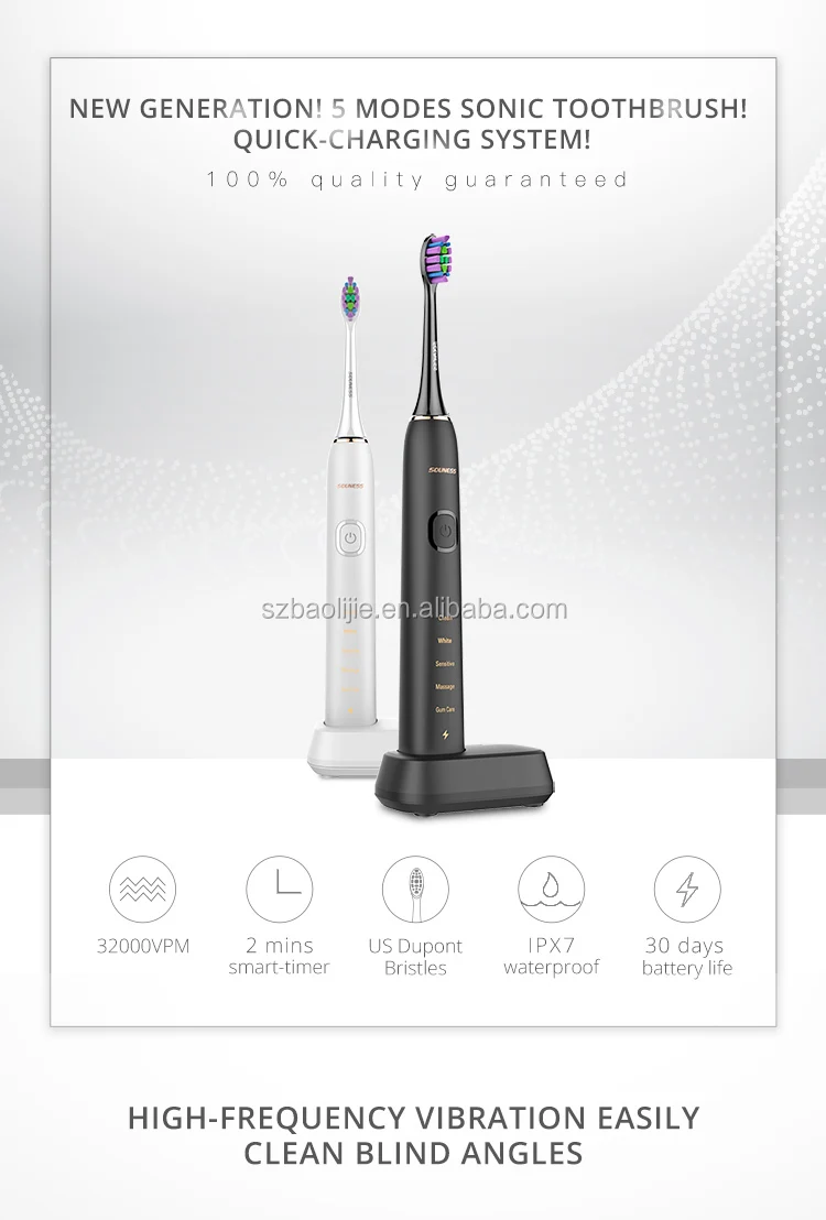 Baolijie Electric Tooth Brush IPX7 Waterproof Sonic Electric Tooth Brush  For Adult