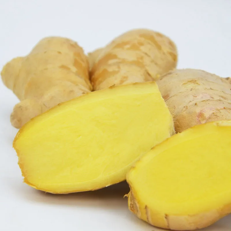 High quality and cheapest price ginger big fresh ginger wholesale export