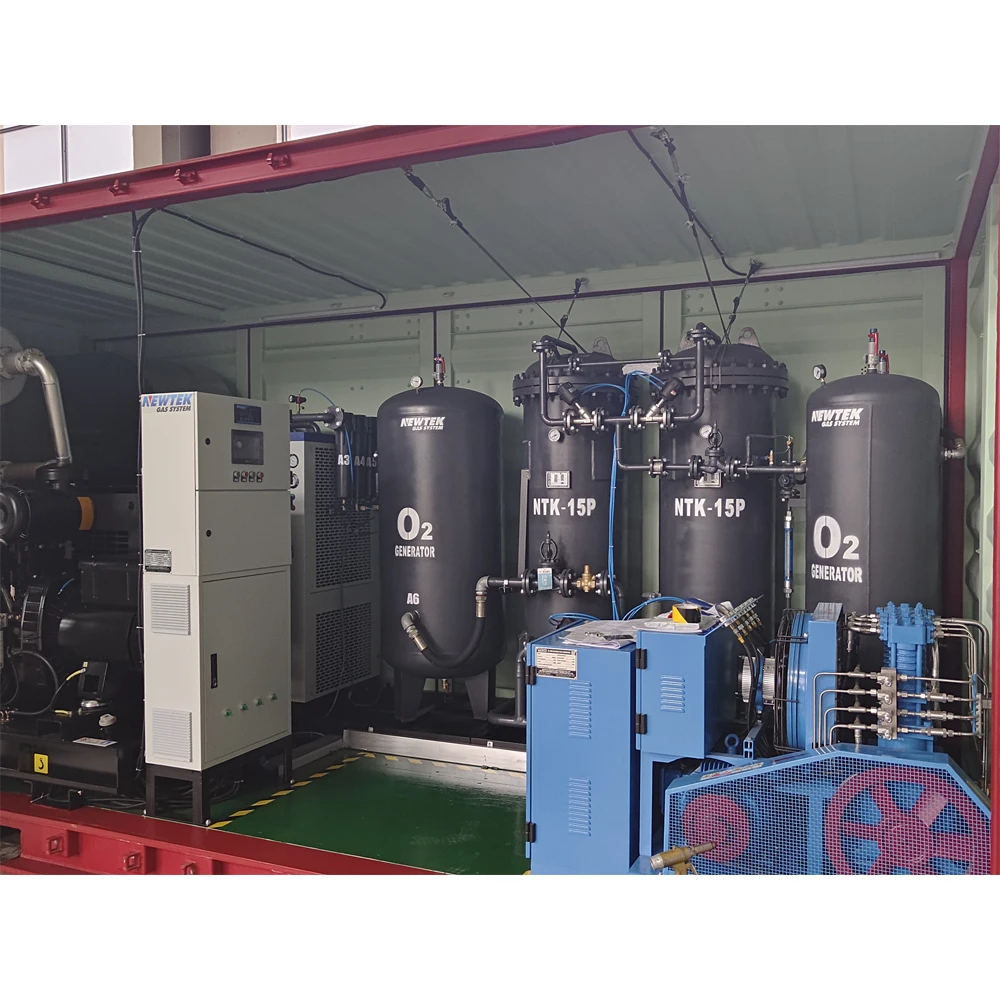 NEWTEK 10Nm3/hr 99% Container type oxygen generator industrial oxygen generator