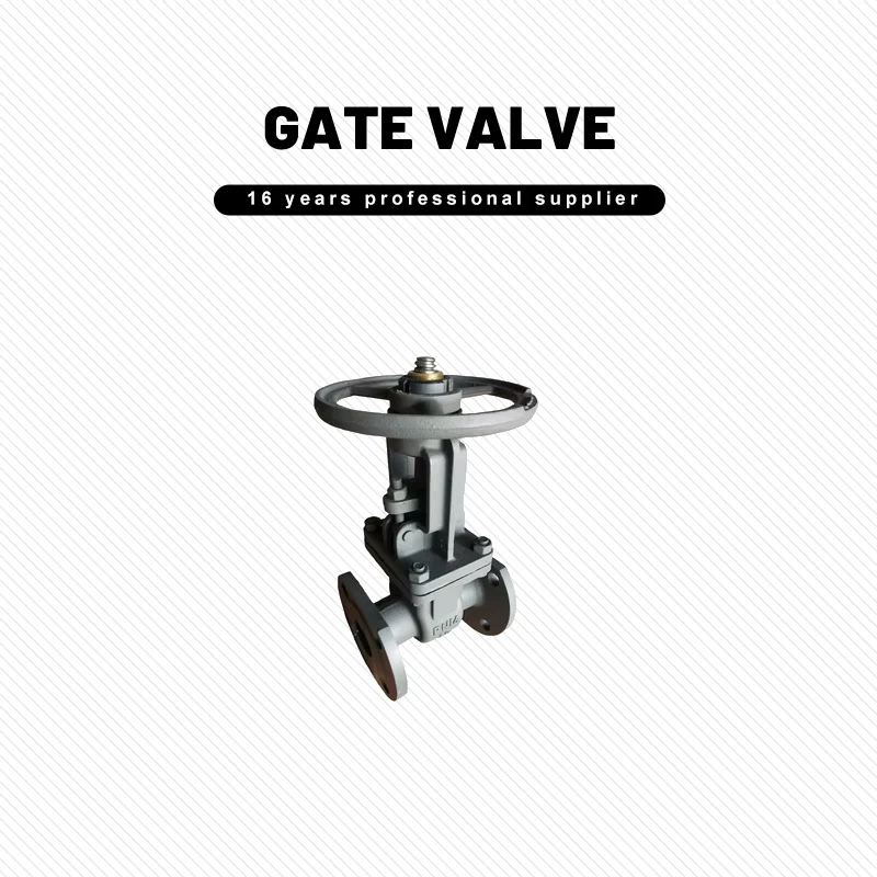 Top Selling Russia Standard Gost Cast Steel Gate Valve DN50 PN16 Wedge Type Gate Valve