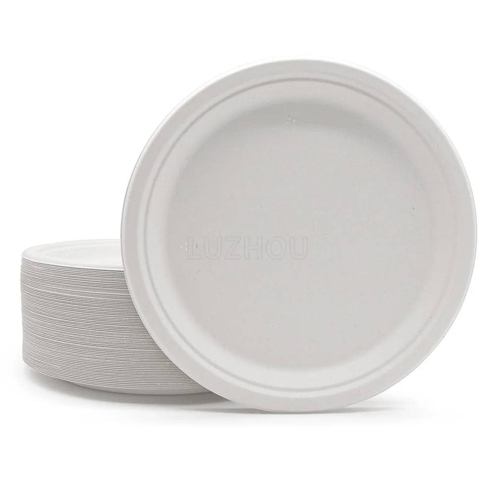 Eco 10 Inch Customizable Compostable BPA Free Primary Color 100% Natural Biodegradable Sugarcane Bagasse Disposable Paper Plate