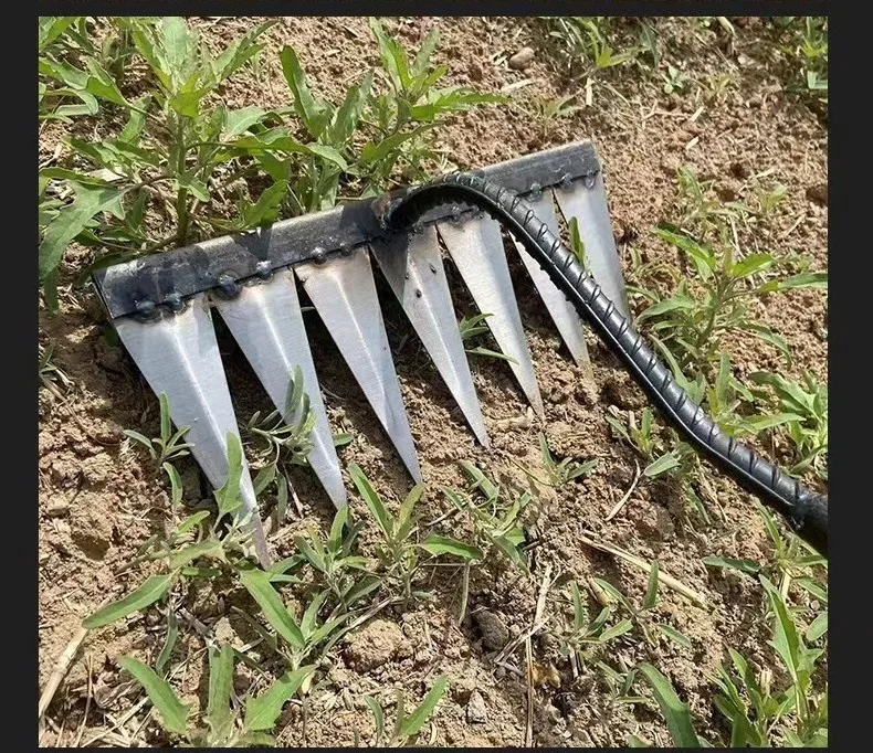 All steel hardened nail tines grass harrow digging wild vegetables lawn loosening rakes hand garden sweeping tool weeding rake