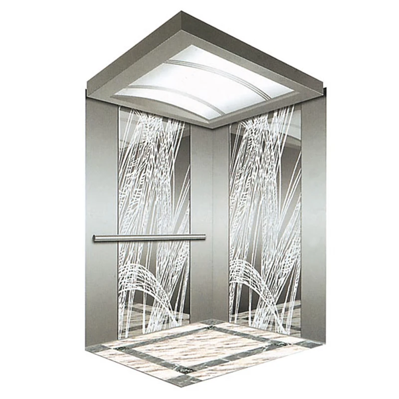 Luxury Passenger Elevator Cabin 250kg/320kg/400kg Two Side Opening Cabin for Residential lift