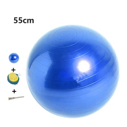 Customizable Premium 65cm PVC Fitness Training Yoga ball