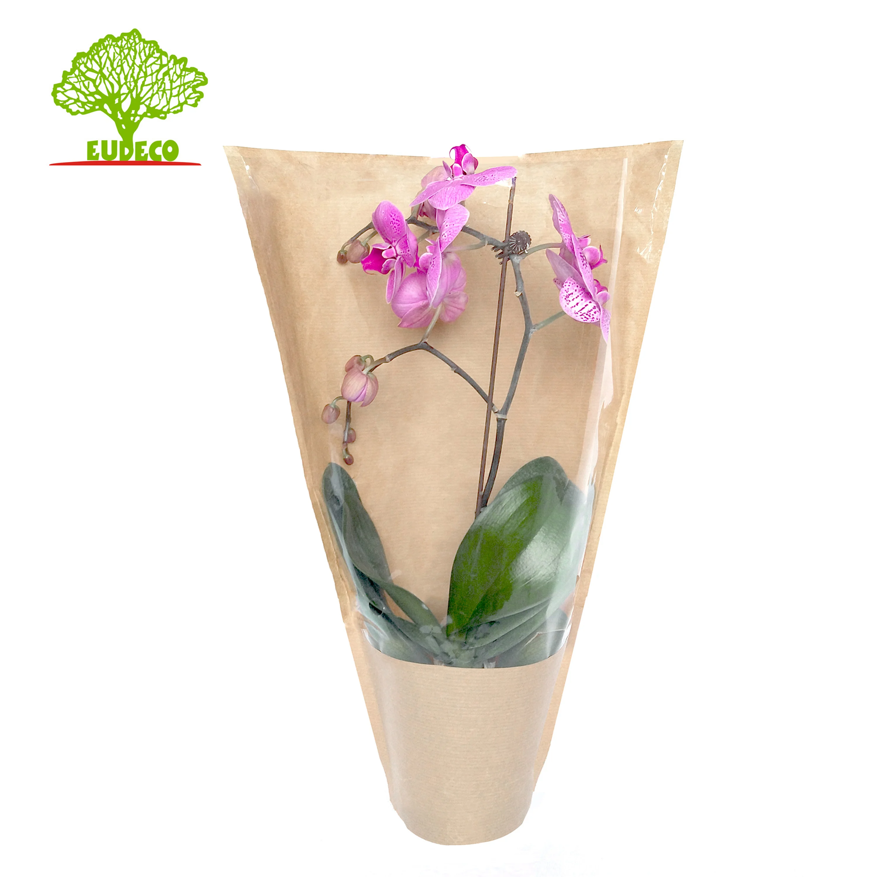 FSC Certified Printed 3 Pieces Herb Kraft Paper Bopp Material Planter Pot Cover Flower Sleeves