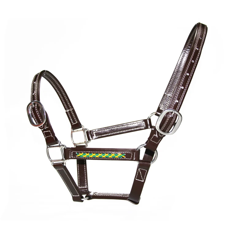 Arabian Design Your Own Waterproof PVC Leather Grain Padded Miniature Horse Show Halter Manufacturer