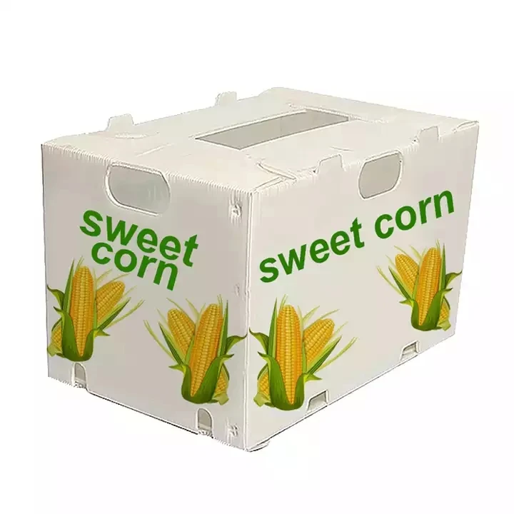 Corruone China Manufacturer PP polypropylene Material Correx Coreflute Boxes Corrugated Plastic Folding fruits vegetables Boxes