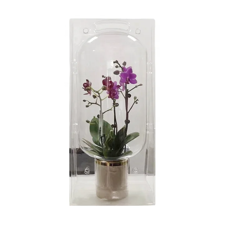 Recycled PET Plastic Flower Pots Flower Sapling Seedlings Live Plants Bonsai Transportation Protective Box