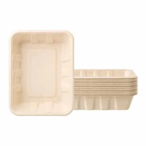 molded pulp 100% Eco-Friendly Plant Fibers Compostable Disposable Food Container Serving sugarcane bagasse eidTrays Rectangle