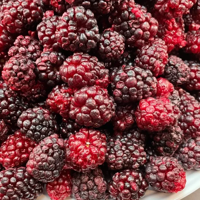 Crispy Dried Blackberry Whole Freeze Dried Blackberries Fruits
