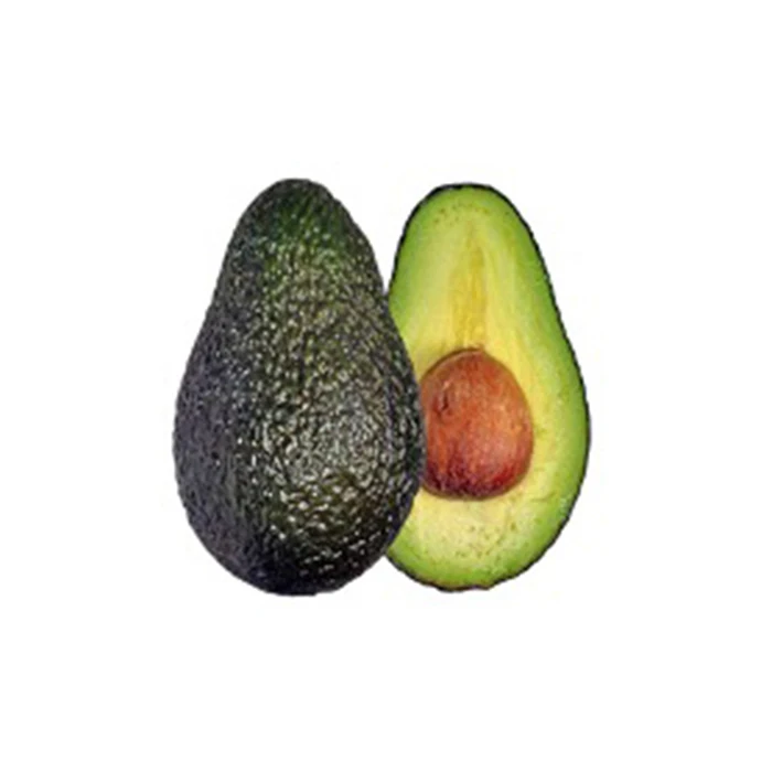 Wholesale Healthy Premium Avocado from Mexico Fresh from MX - High Quality Best Price Directly from Producers