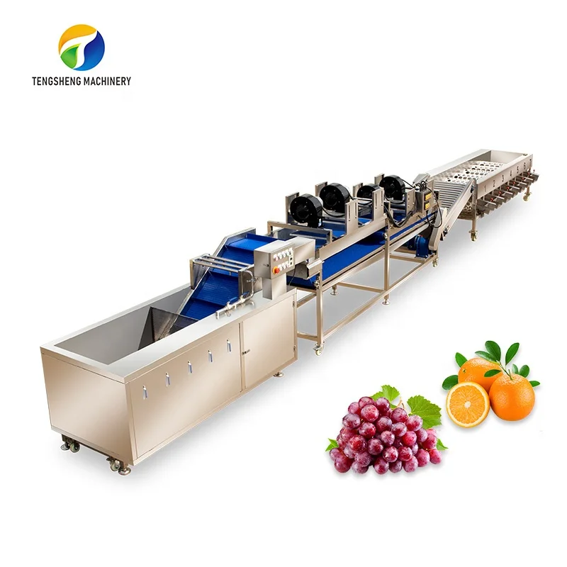 Industrial fruit and vegetable cleaning and air-drying sorting production line food processing equipment