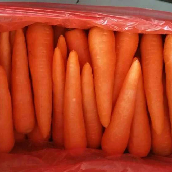 2021 Chinese Fresh Carrot 4.5 kg Carton Packing For Dubai Market Size S M L Wholesale Low Price Fresh Carot
