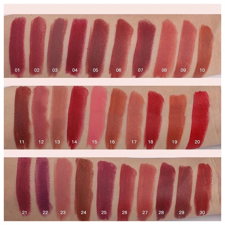 Ms Makeup Wholesales Vendors Oem Odm Low Moq 30 Colors Customized Logo Label Vegan Nude Private Label Matte Lip Sticks Lipsticks