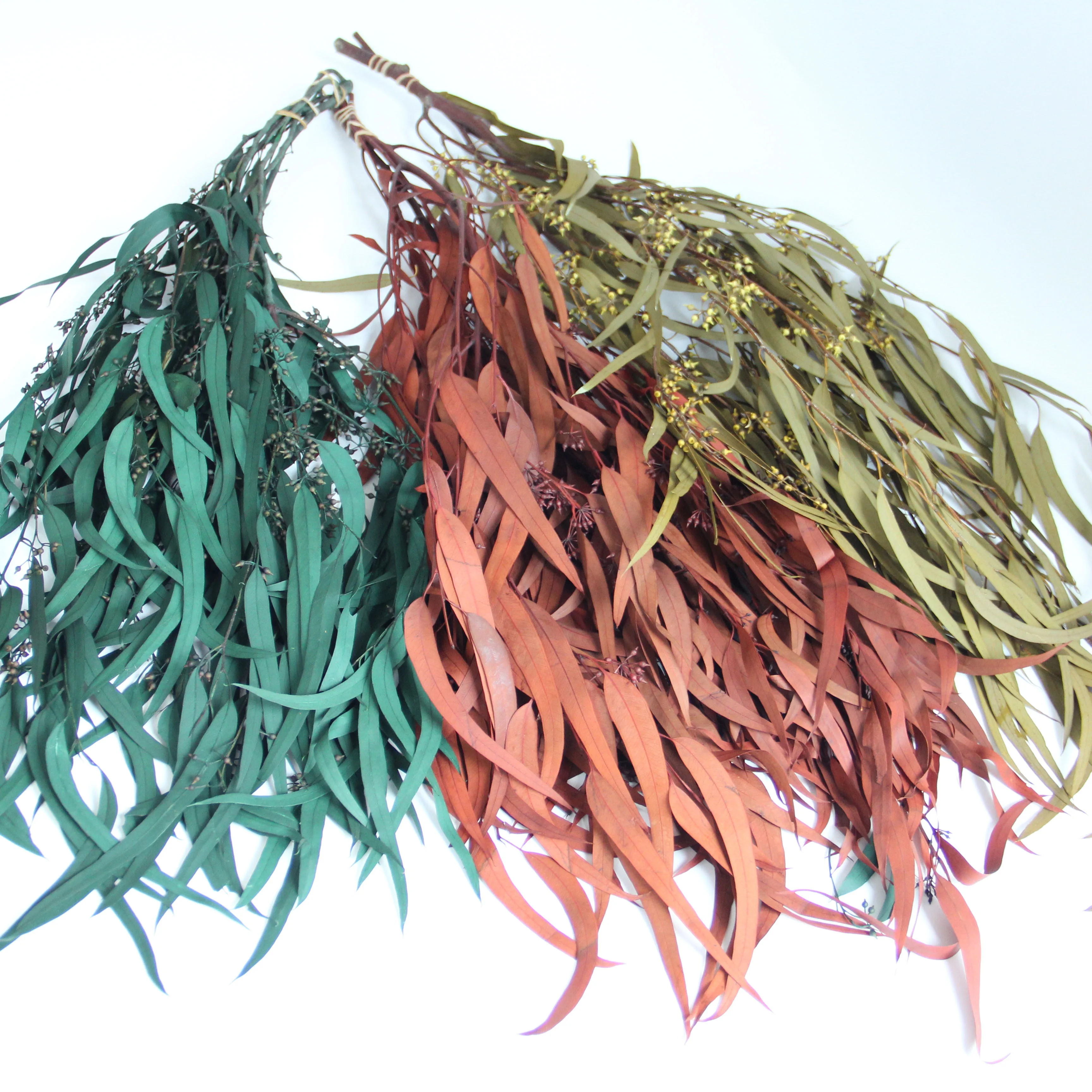 Small Preserved Long Stem Dried Flowers Eucalyptus Leaves Fruit Millet Fruit Fine Leaf For Home Party Festival Decoration