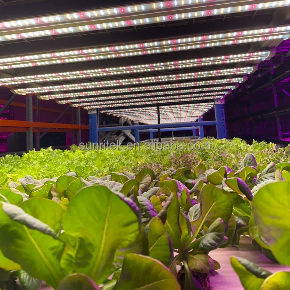 LED grow light Flat single light LED bar 60W 2.7umol/J 3000K full spectrum hydroponic indoor plant grow light