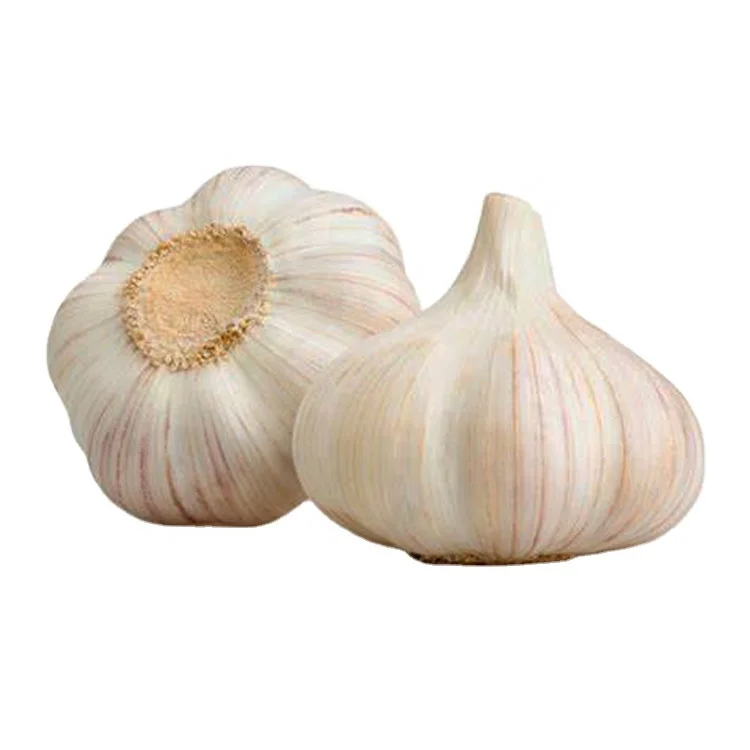 
2020 new crop fresh garlic price in china 