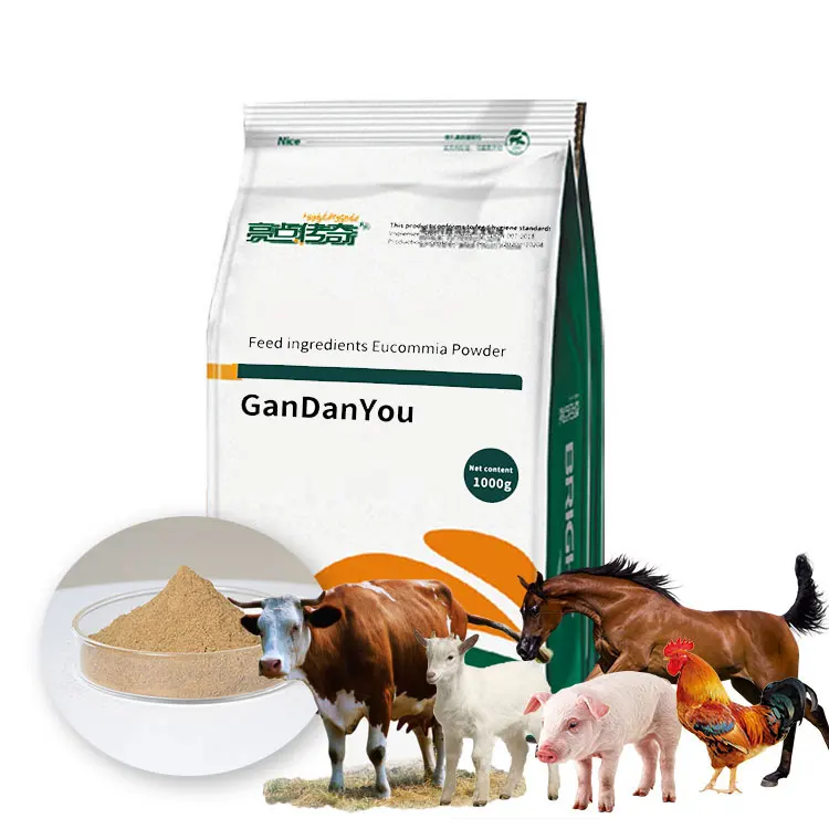 New Listing High Quality Protect Liver and Kidney Eucommia Ulmoides Powder Additive Feed Grade Natural Cultured Animals 1kg/ Bag