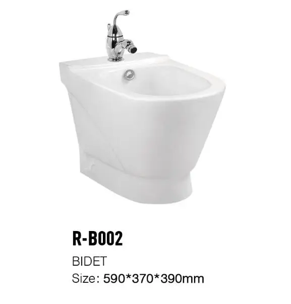 R-B002 Modern Design Ceramic Bathroom  Toilet Bidet Women  Using Toilet
