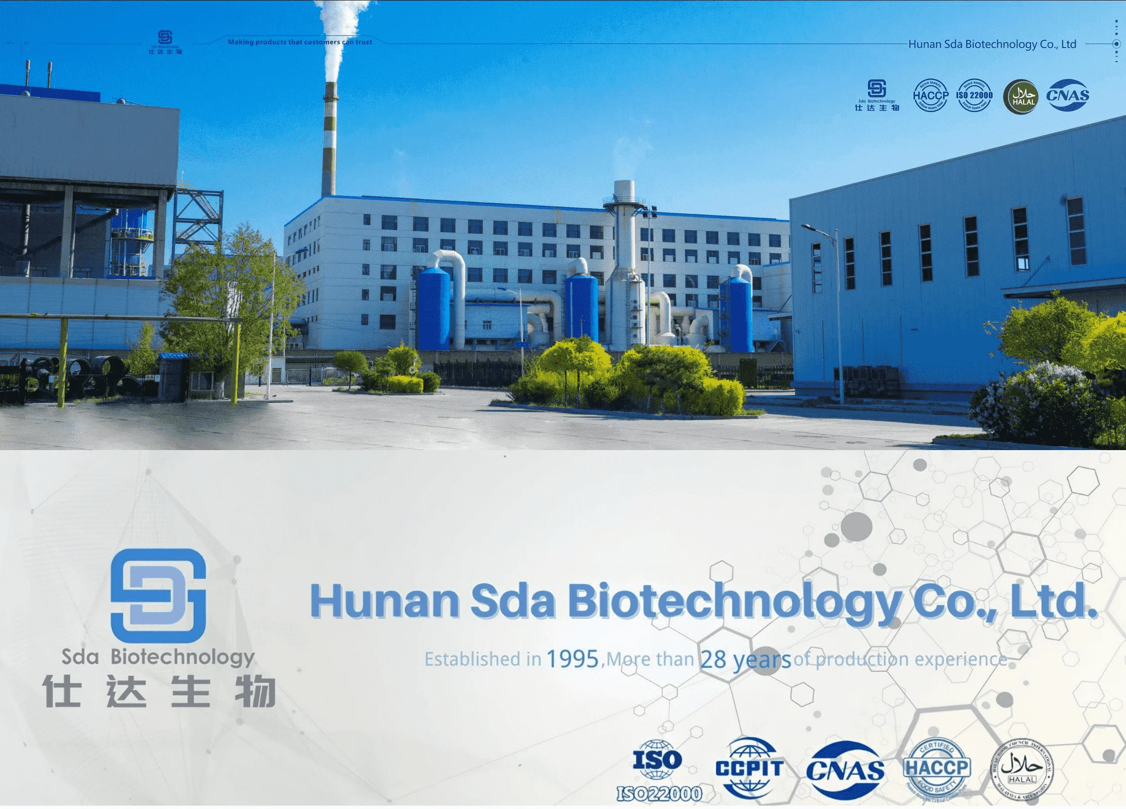 Fish and Bovine Collagen Peptides for Collagen Boost, Skin & Joint Strength from Factory