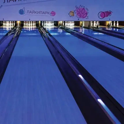 Hot Sale China Manufacture Quality Sports Family Entertainment Center Brunswick Bowling Complete Adult Bowling Alley